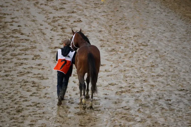 Maximum Security is walked off the track after being disqualified for the 145th running of the Kentucky Derby horse race at Churchill Downs Saturday, May 4, 2019, in Louisville, Ky. (AP Photo/Charlie Riedel)