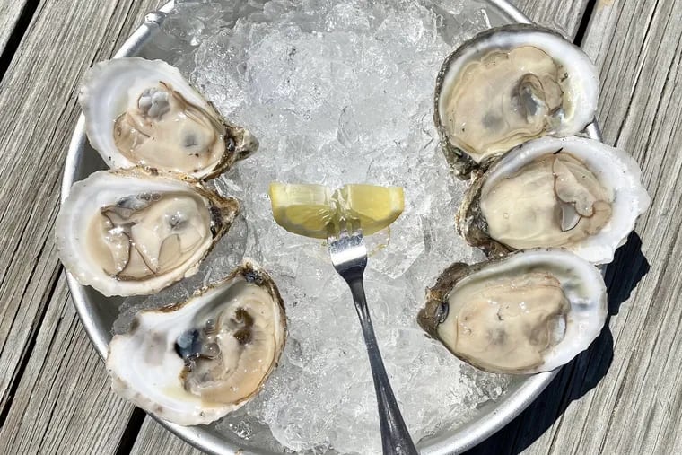A half-dozen oysters at Dock & Claw in Beach Haven, NJ.