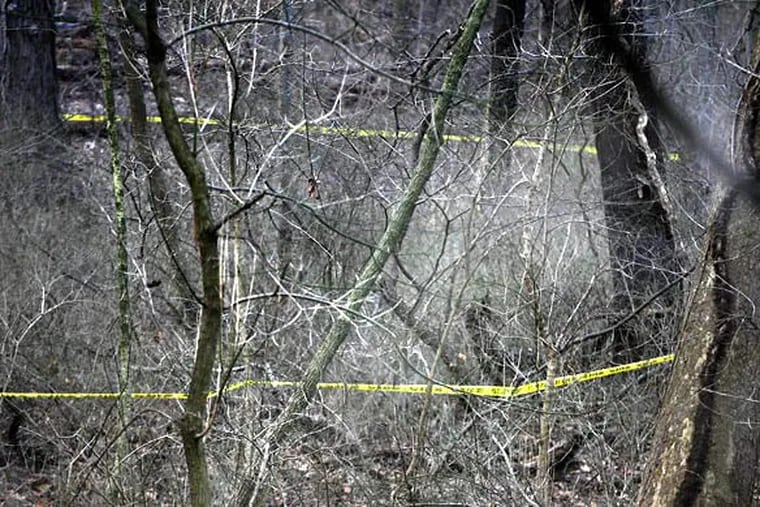 Crime scene tape surrounds the area where human remains were discovered yesterday afternoon. The bones were in a wooded area of Benjamin Rush Park next to the parking lot of the Lincoln Motel.