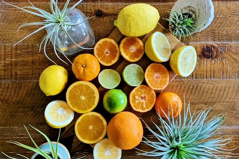 A selection of citrus from Rincon Tropics