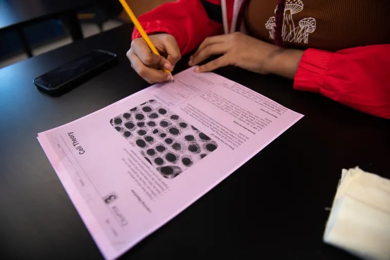 A student completes a worksheet on cell theory during science class at Camden High School. Hundreds of Camden students are attending summer school to make up credits missed during the school year.