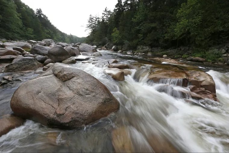 Some advocates say drinking raw water from streams provides health benefits.