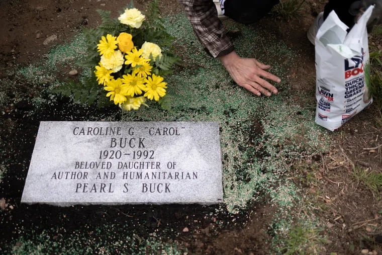 Todd Boyer, 51, owner of South Jersey Cemetery Restorations, plants grass at the gravesite of Caroline G. "Carol" Buck, daughter of author Pearl S. Buck, in Vineland, New Jersey, U.S., April 9, 2022.