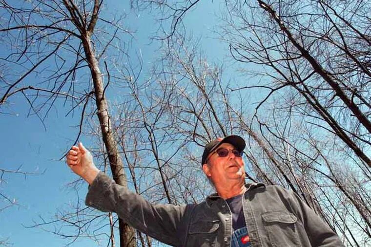 John Horvath talks about some of the ash trees on his property on Harsens Island, Mich., Wednesday, April 13, 2005. For Horvath, 68, trees are indispensable to a way of life and the character of his land. So when state contractors arrived to cut down more than 80 ash trees on his 40-acre farm, the sturdy and strong-minded ex-U.S. deputy marshal blocked their way with a bulldozer. State officials fear Horvath's farm could be hosting the emerald ash borer, an exotic beetle blamed for the destruction of millions of trees in southeast Michigan. (AP Photo/Carlos Osorio)