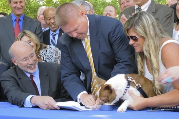 After getting the signature of Gov. Tom Wolf, Pennsylvania’s animal cruelty law gets a paw print from Libre, a Boston terrier who was emaciated and diseased when he was rescued last year by a truck driver in Lancaster County.