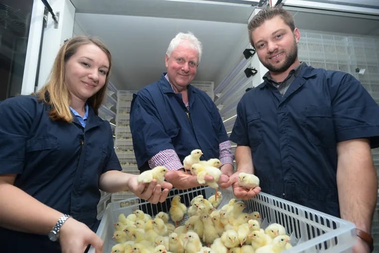 Margo Sechler, dad Scott Sechler, and brother Scott Jr. are the family behind Bell & Evans, a major producer of organic chicken.