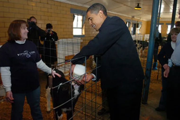 Nadine Houck, assistant manager of the Penn State agricultural facility, talks with Sen. Barack Obama as he bottle-feeds milk to a calf during yesterday&#0039;s visit to State College.
