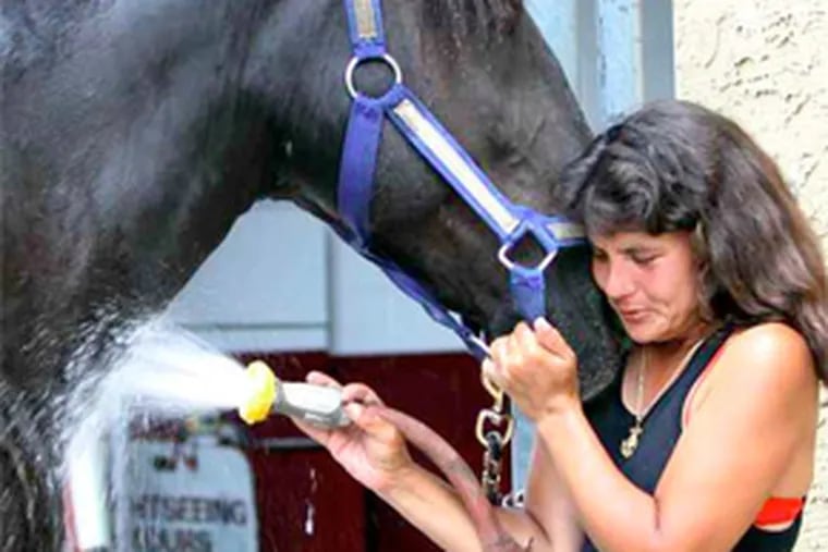 On Bodine Street in Northern Liberties, April Torres hoses down a horse at 76 Carriage Co. (Laurence Kesterson / Staff Photographer)
