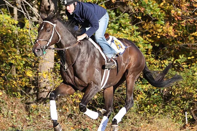 Jody Petty rider Hardest Core during a workout in Chester County prepping for the Breeders' Cup. (Photo credit: Nolan Clancy)