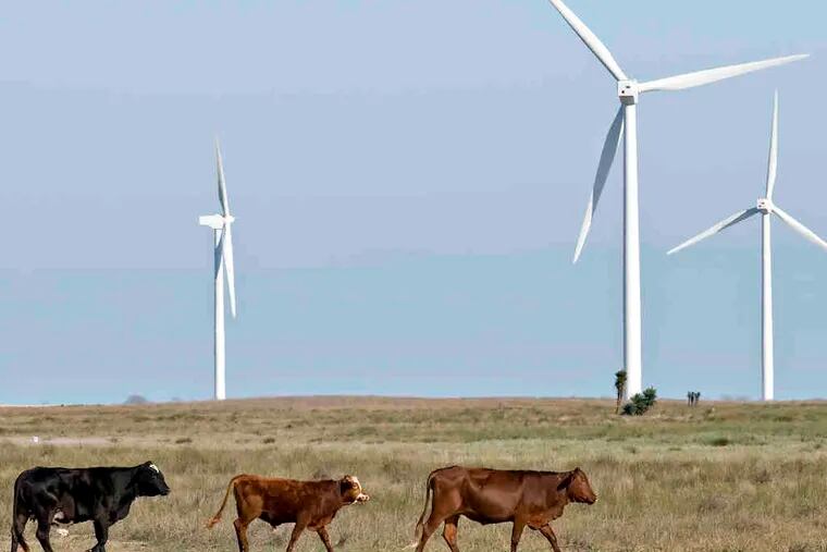 Cattle graze near wind turbines in Texas. Some on Wall Street have long been fans of farmland as part of an investment portfolio.
