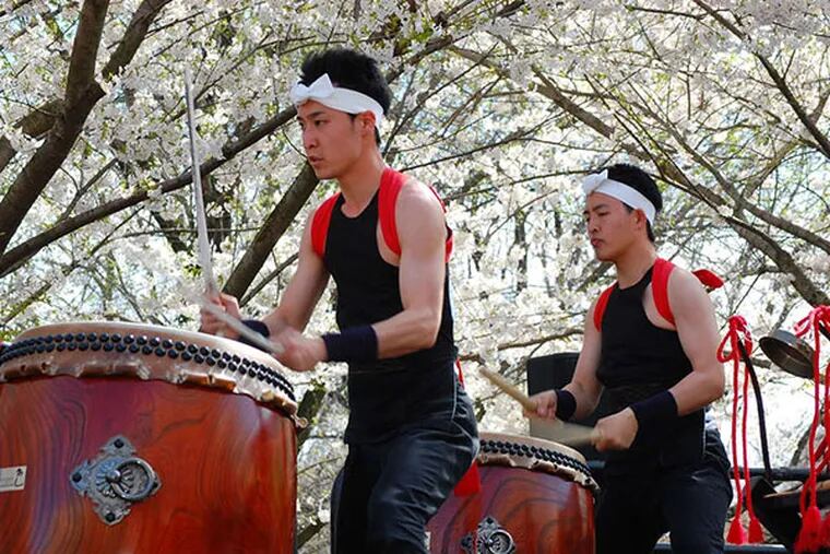 Drummers from Tamagawa University Taiko Drum and Dance Group based in Tokyo perform at the 2013 Subaru Cherry Blossom Festival. They will return in 2014 to tour Philadelphia leading up to their performances during Sakura Sunday on Sunday, April 13.