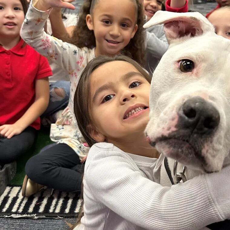 Cole the Deaf Dog has learned commands in American Sign Language and is a hero to many of the schoolchildren he visits. Here, the beloved pit bull poses with some of his friends at Dr. William Mennies Elementary School in Vineland, where his owner, Chris Hannah, is a music teacher.