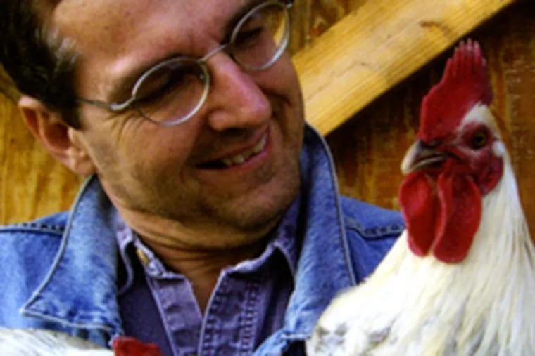 Bob Sheasley&#0039;s book is both a scholarly work and a memoir of his life raising chickens and selling their eggs.