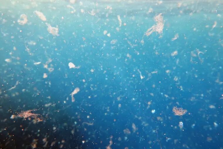 Sea water contaminated by microplastics.