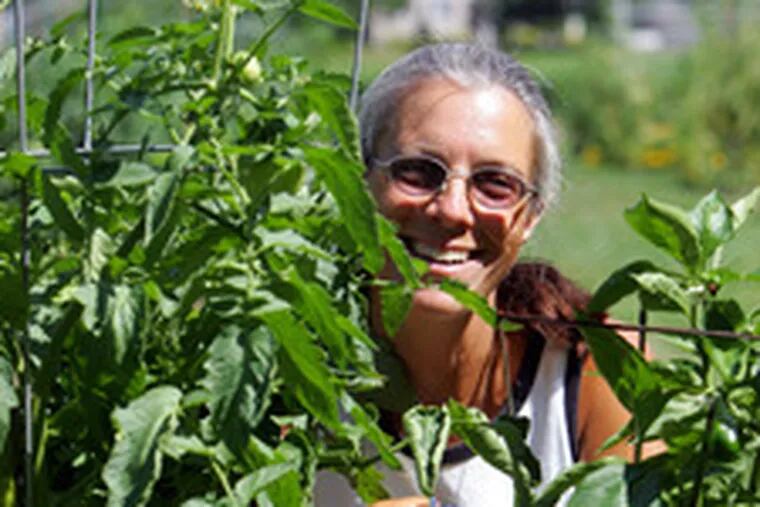 Amelie Harris-McGeehan in the Woodbury, N.J., community garden she coordinates. Only a few tomatoes are ripening.