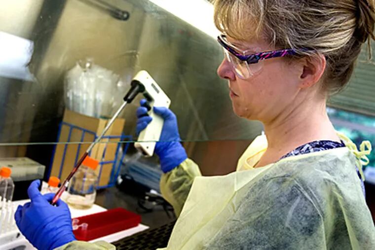 Biotechnology scientist Donna Needham works with blood samples, May 17, 2010. (Corey Lowenstein/Raleigh News & Observer/MCT)