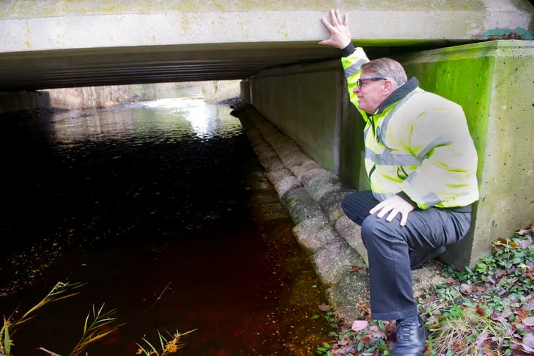 South Jersey Transportation Authority Operation Project Manager Nick Marchese takes a look under a bridge on the Atlantic City Expressway near Hammonton, NJ, where one of their animal crossings (far right, under bridge along water) helps wildlife cross safely under the highway.