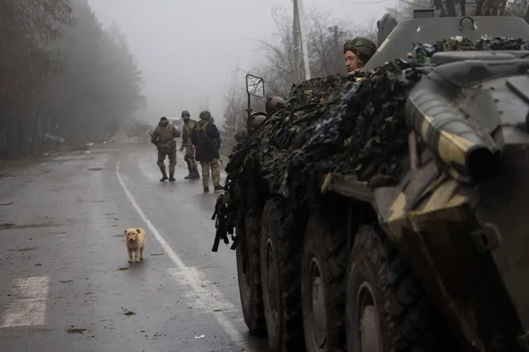 A dog is seen in the middle of a street as Ukrainian army soldiers take part of a military sweep to search for possible remnants of Russian troops after their withdrawal from villages in the outskirts of Kyiv, Ukraine.