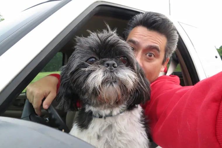 Temple journalism professor George Miller's selfie with his dog Mookie as they take on another adventure.