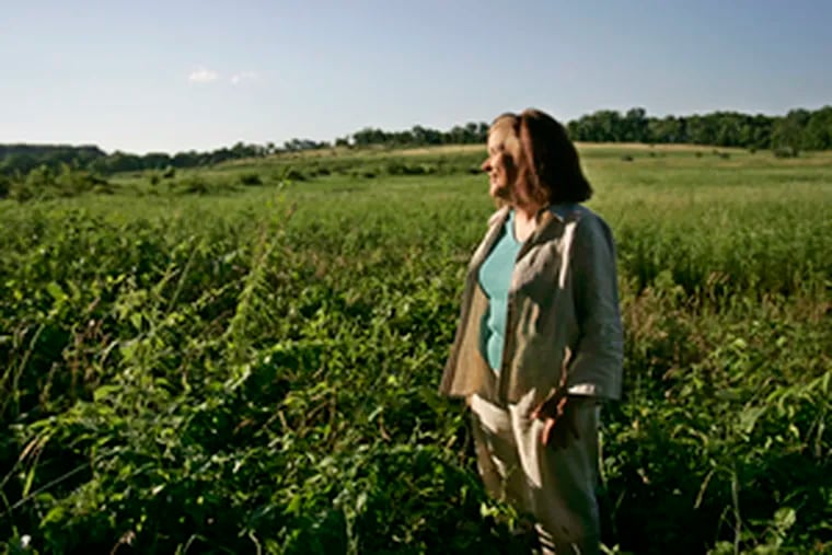 Elaine Milito surveys the rolling Reiff Farm in East Vincent Township that she was instrumental in sparing from heavy development.