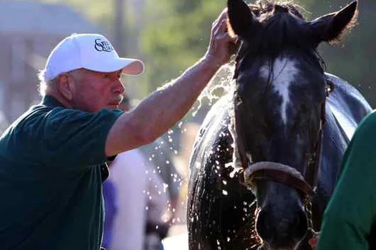 Tom McCarthy, the owner, trainer, and groom, washing General Quarters, whom he claimed for $20,000 last year.The retired biology teacher and high school principal has been on the fringes of horse racing for five decades.
