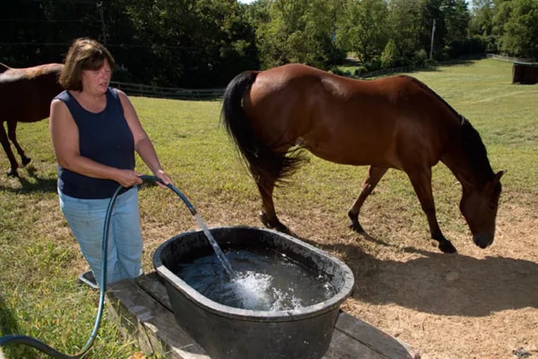 Trish Whetham of Morningstar Stables in London Britain Township, Chester County, says her horses use at least 80 gallons per day from the well. (CLEM MURRAY/Staff Photographer)