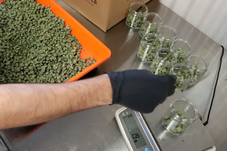 An employee at a medical marijuana dispensary in Egg Harbor Township, N.J., sorts buds into prescription bottles in 2019.