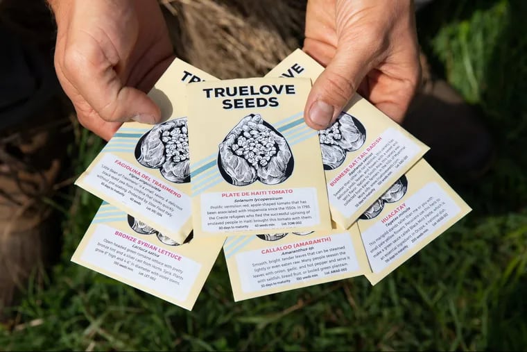 Owen Taylor, Founder of Truelove Seeds, holds Truelove Seeds at the farm at Bartram's Garden, in Philadelphia, Tuesday, June 26, 2018.