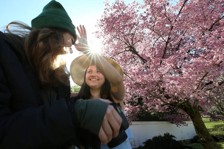 Anastasia Feoktistova (right) shares a moment with her friend Katarina Hojohn (left) after taking pictures in front of one of the cherry blossom trees at the Shofuso Japanese House and Garden in Philadelphia, Pa. on March 30, 2021.
