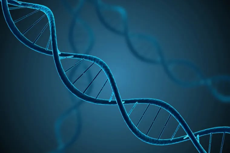 A snippet of DNA is shown above. Fragile X is an inherited genetic disorder that affects one in 4,000 males. Zynerba, a Devon-based pharmaceutical company, has a CBD gel on the fast track for FDA approval to treat symptoms of the syndrome. (Dreamstime/TNS)