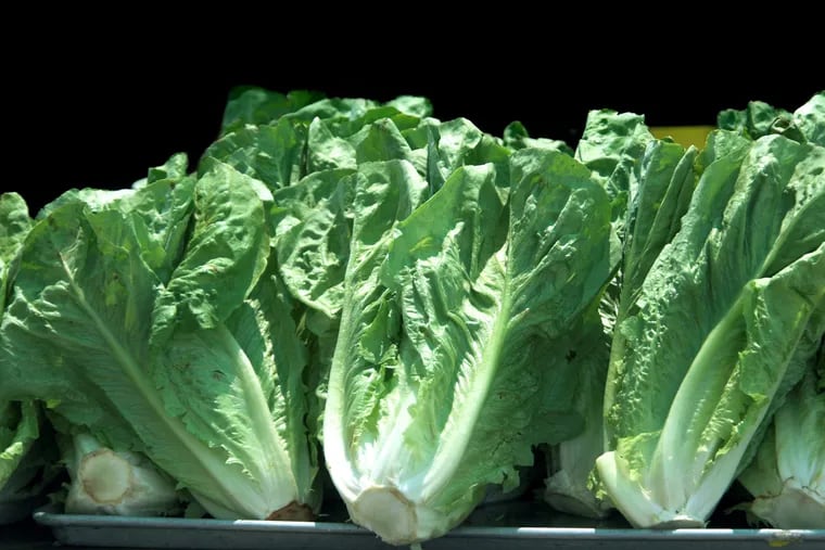 Federal health officials advised consumers to throw away romaine lettuce and salad mixes amid a November 2019 nationwide outbreak of E. coli infections linked to California's Salinas Valley.