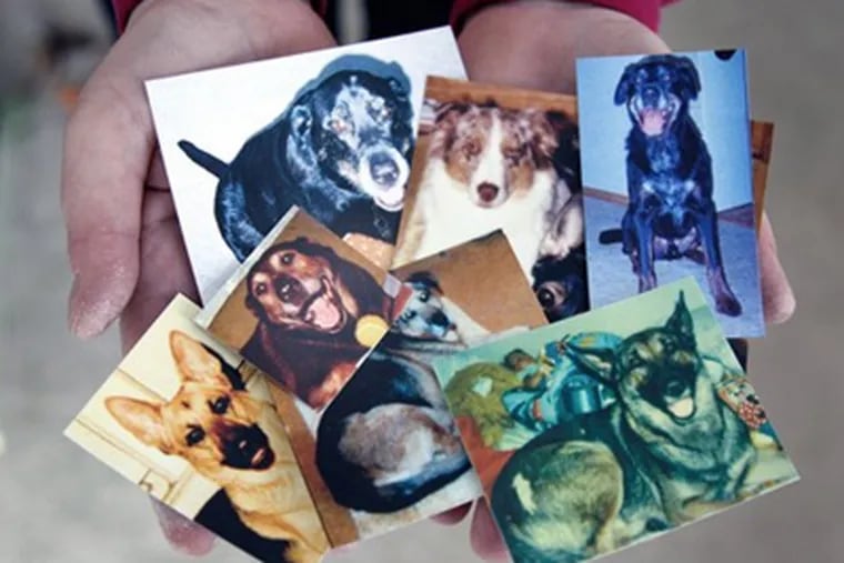 Photographs held by Joann Cencula of her beloved dogs that have passed away, at her home in Wickliffe, Ohio. (AP Photo/Amy Sancetta)