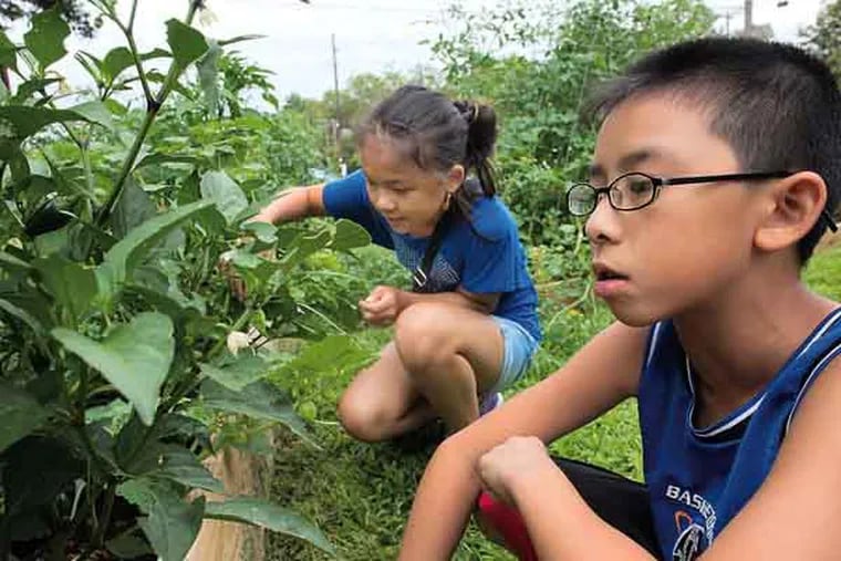 In this 2013 photo, Johnson Vo, 9, from Pensauken, looks for fruits and vegetables, with Jessica Luu, 10, from Pensauken.  The two are part of Camp Spirit at Urban Promise. At Urban Promise, a faith-based human services campus in Camden, the enduring impact of childhood trauma is becoming a focus of wellness and other programs.