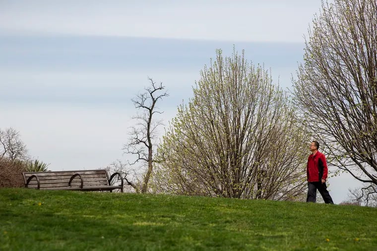 A man walks up a path that leads towards the "Treehouse in the Sky," a steel gazebo with a view of the Schuylkill behind the Art Museum in Philadelphia, on Tuesday, April 09, 2019.