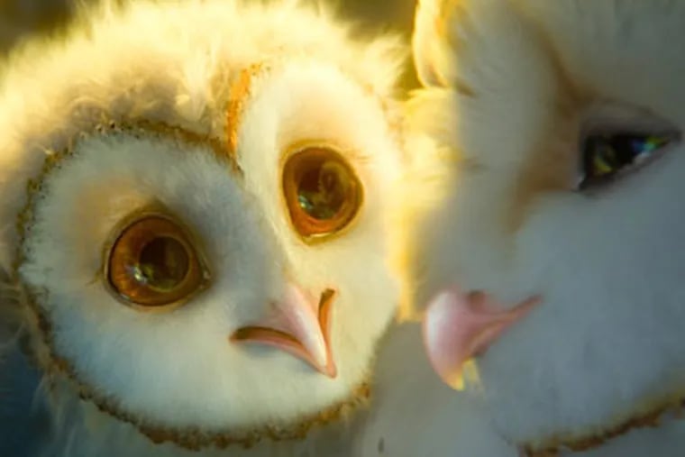 ‘Legend of the Guardians: The Owls of Ga’Hoole’ has  limited appeal, but great 3-D work