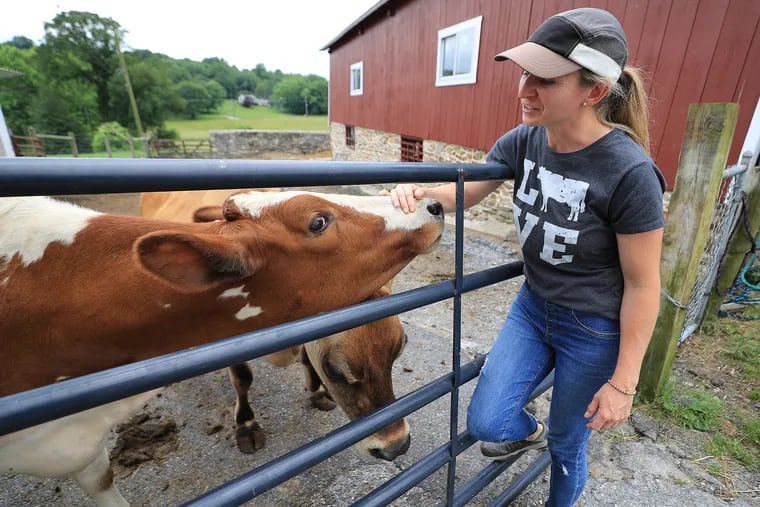 Milk and ice cream are made from their cow's milk at Baily's Dairy Farm in West Chester.