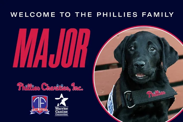 Major joins Phillies in Warrior Canine Connection dog partnership