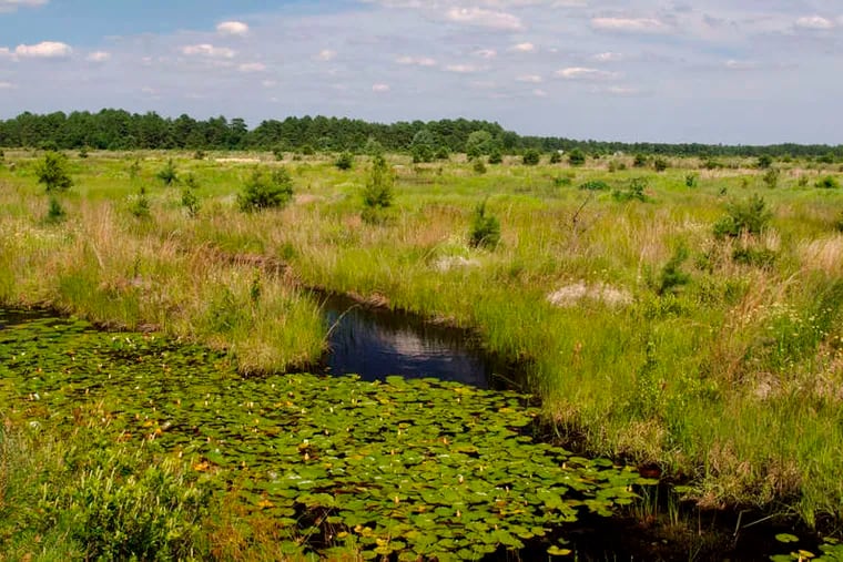 The Franklin Parker Preserve property was bought in 2003 by the New Jersey Conservation Foundation.