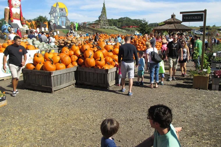 Pumpkinland at Linvilla Orchards in Media, PA.