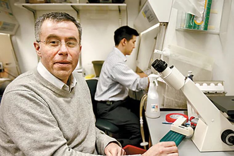 Steven Reiner, immunologist at the Abramson Family Cancer Research Institute at Penn. In cancer research, genetic findings have opened a Pandora's box of complex pathways. (Archive photo)