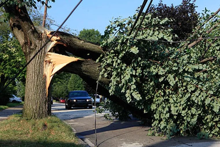 A car stops before turning around in front of a tree damaged by a powerful storm which lies tangled in power lines on a residential street in Havertown, Pa. Thursday. (AP Photo / Jacqueline Larma)