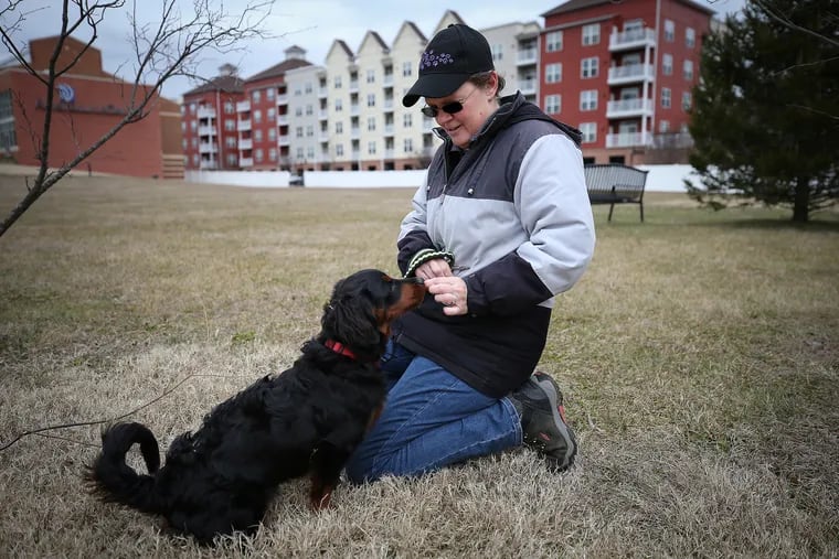 Sharon Anderson, a dog walker, give Reese a treat after a walk through the Riverside Dog Park in Conshohocken.