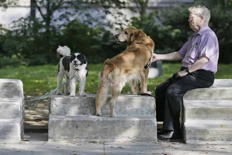 Art Etchells of Phila and his golden retriever Gibbs get a visit from Alfie of Linwood, NJ on the salvaged steps titled, “On the Threshold” by artist Kaitlin Pomerantz installed at Washington Square Park in Philadelphia. Alfie was in Washington Square Park with owner Jon Fox.