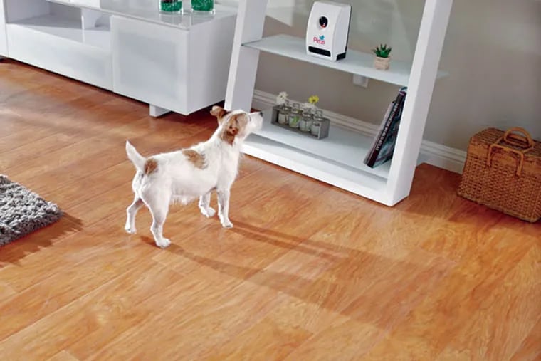 First we had nanny cams, and now we have — yes — a Petzi Treat Cam that enables you to monitor, speak to, and dispense treats to your dog remotely.
