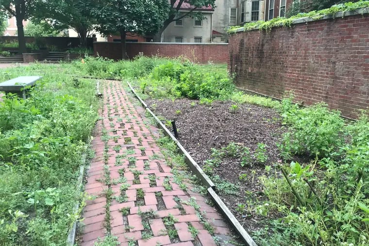 The Rose Garden overseen by the Independence National Historical Park in Philadelphia, bordered by Walnut and Locust Streets, between 4th and 5th, has been overgrown with weeds recently. It's seen here July 5, 2018.