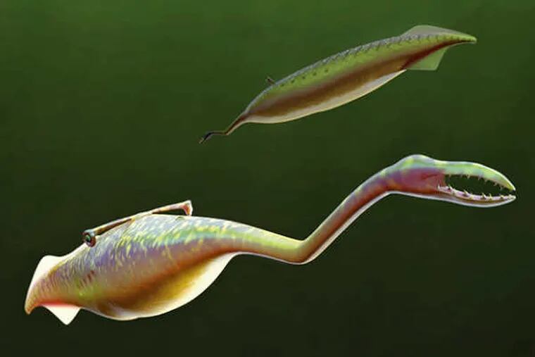 The Tully monster was a soft-bodied marine creature with a pincer mouth and eyes on the end of stalks. Scientists disagree whether it had a primitive backbone.