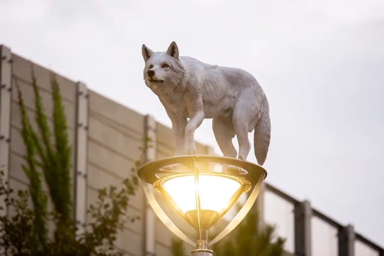 A wolf sculpture stands on top of a lamp post near the I-95 overpass in Fishtown on East Columbia Ave., which is a part of a public art installation approved as part of the Delaware River Waterfront Corporation's project that aims to connect neighborhoods with the waterfront.