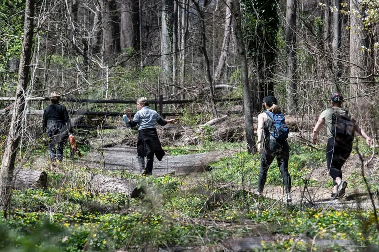 People hike the trails at Wissahickon Valley Park during an sunny morning on Monday, April 6, 2020. The Park is seeing summer-level crowds, despite Gov. Wolf's stay-at-home order, and the result is taxing those who operate the 1,800 acres of forest, and trails.