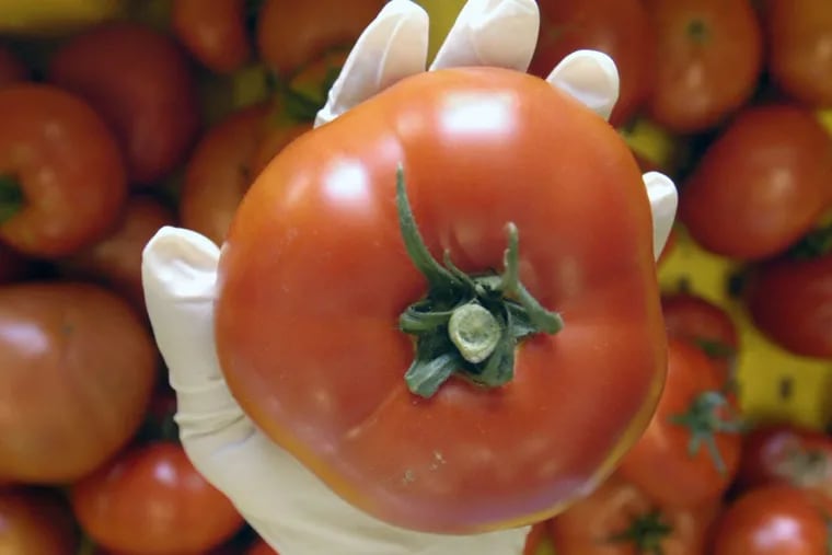 Eating tomatoes which are high in lycopene does not mean you can skip the sunscreen.