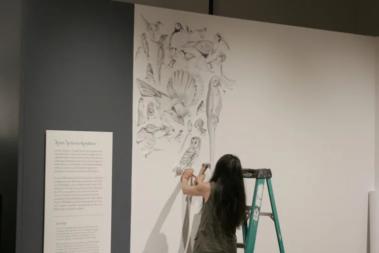 Artist and science illustrator Jane Kim works on a draft of her new mural on Philadelphia birdlife. The installment is part of a partnership between Drexel's Academy of Natural Sciences and Mural Arts of Philadelphia.